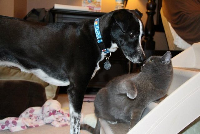 Ayrıca Facebook'ta belli bir hayran kitlesi edinmiş durumda.