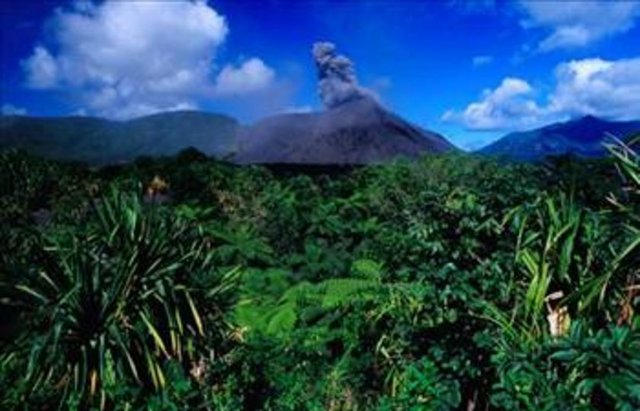 Tropikal iklime sahip adanın yüzölçümü 12,200 km² olup, toplam sahil şeridi 2,528 km dir. Adaların genelinde dağlar ve volkanik özellikli ovalar yer alır. Ülkenin en yüksek noktası Tabwemasana 1,877 m dir. Ülkenin en büyük şehri başkent Port Vila'dır...