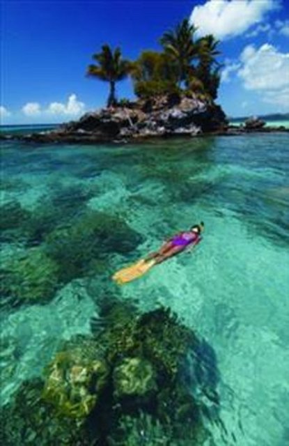 Devletin yedi tane resmi dili vardır.Bunlar ; İngilizce,Ulithian ,Woleaian,Yapese,Pohnpeian,Kosraean ve Chuukese'dir.Bu dillerin dışında başka diller de adalarda konuşulmaktadır...