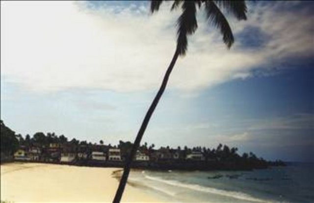 Büyük Komor'da 1875'te Sultan Ahmed'in yerine geçen torunu Seyyid Ali, Fransızlara yanaşmak ve onların himayelerini kabullenmek zorunda kaldı. Fransızlar Anjouan Adası'nı da 1886'da Sultan III. Abdullah'ın adaya hükmettiği sırada hâkimiyetlerine aldılar. Böylece, bütün Komor Adaları Fransız hâkimiyetine geçmiş oldu...