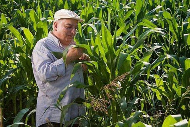 ZEKİ ALASYA - FENERBAHÇE