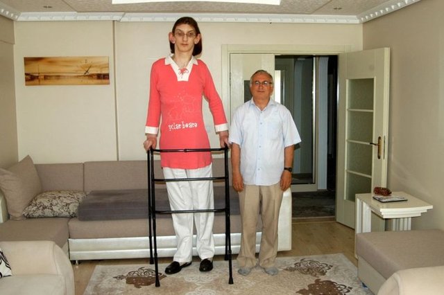 Guinness World Records Türkiye Hakemi ve Sorumlusu Şeyda Subaşı, Mart 2014'te Safranbolu'ya gelerek Rumeysa Gelgi'nin boyunu 2 metre 13.5 santim olarak ölçüp dünyanın 18 yaş altı en uzun boylu genç kızı olarak tescilledi.