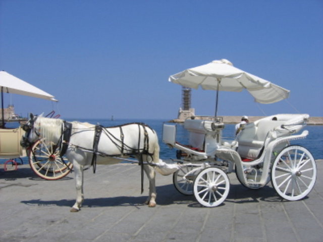 Otomobilinin karşısına at arabası çıkan sürücü, otosunu kenara çekmek zorundadır - Danimarka