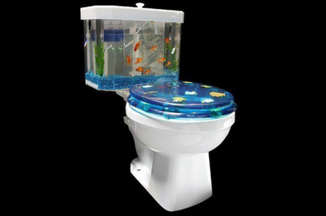 Kapınızı çalıp sizden "klozetinizi isteyen birini" içeri almak zorundasınız - İskoçya