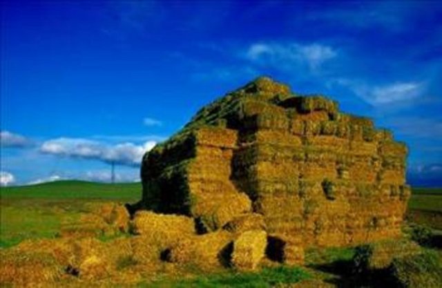 TEKİRDAĞ Adını, kıyı boyunca uzanan Tekirdağlarından almıştır.