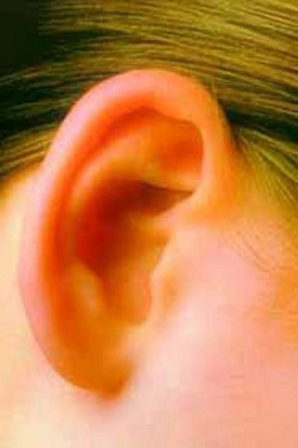 Duyu organları: Kadınların işitme ve koklama duyuları daha güçlüdür. Buna karşılık erkekler ışığa karşı daha hassastır. Erkek gözü ayrıntıları daha iyi seçer.