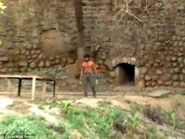 23 yaşındaki Yashonandan Kaushik adındaki adam gittiği hayvanat bahçesinde bariyeri aşıp kaplanların ortasına atladı.