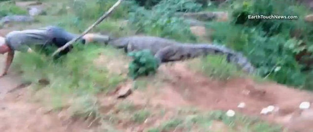 Kızgın timsah tarafından saldırıya uğrayan yaşlı adam, olayı hafif yaralarla atlattı.