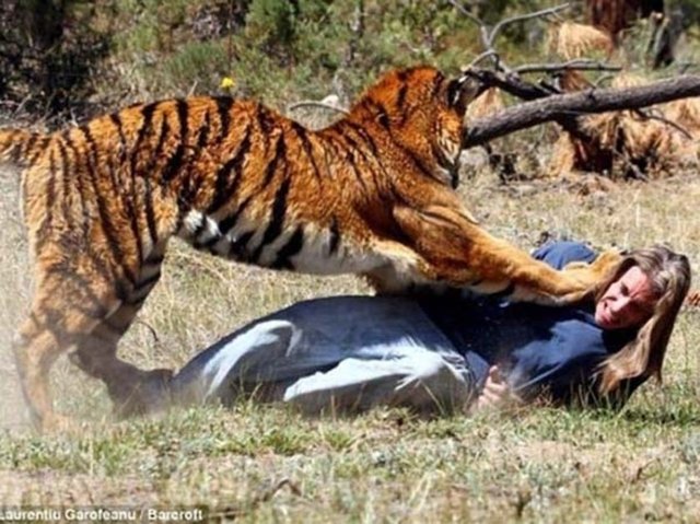 O anlar fotoğraf karelerine böyle yansıdı.