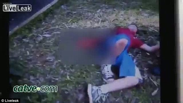 Hayvanat bahçesi yetkilileri Hu adı verilen kaplanın hiçte saldrıgan bir hayvan olmadığını, insanlara alışık olduğunu söylediler.