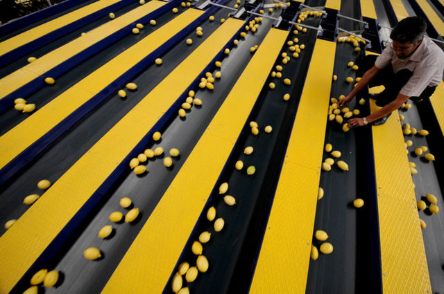 - Limon - - pH'ı 7'nin üzerinde alkali su