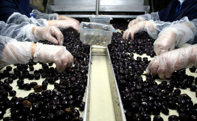 Siyah tuzsuz zeytin, 4 yumurta beyazı ve 1 sarısıyla omlet veya haşlama, az miktarda tereyağı. Keçi, koyun peyniri türleri tercih edilebilir.