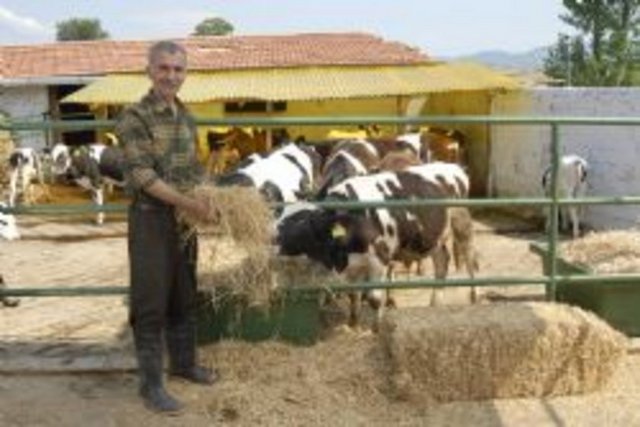 Kahya: Konak, çiftlik vb. yerlerde türlü işleri yapmakla görevli kimse -  -  -