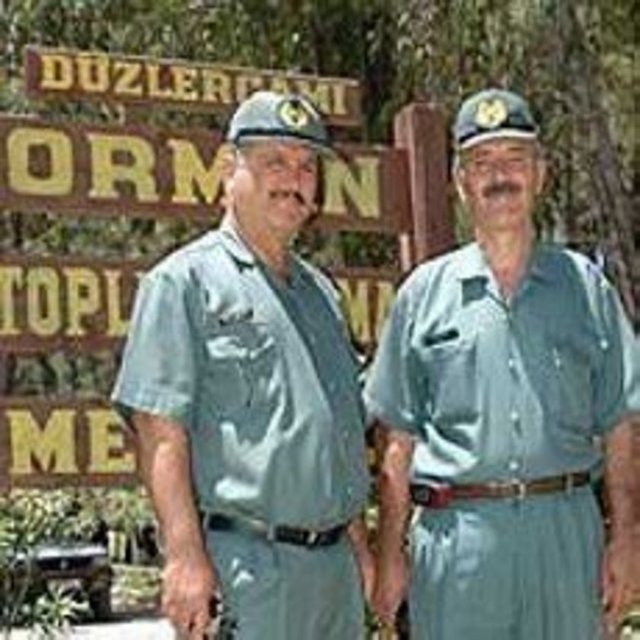 Ormancı: Orman işlerine bakan, kaçak ağaç kesimini engelleyen kimse, görevli.