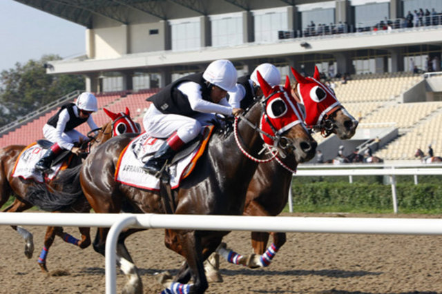 Apranti: At yarışlarında 50 den az yarış kazanmış, deneyimi jokeylere göre daha az genç binici.