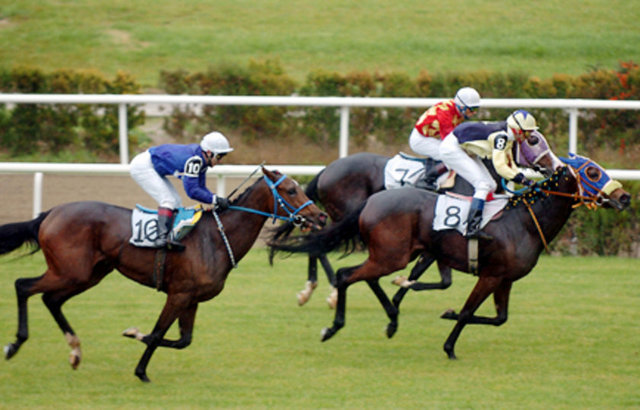 Jokey: Yarış atlarına binen, yetenekleri bu amaca göre geliştirilmiş kimse.