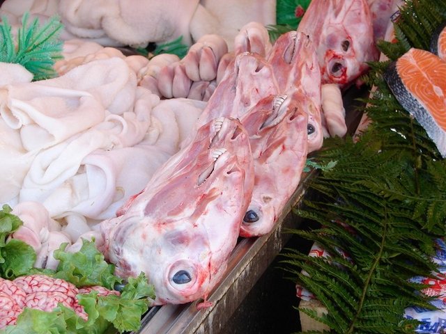 Sakatat:Kesilmiş hayvanın yürek, karaciğer, böbrek, işkembe, beyin, vb. gibi iç organlarıyla baş ve ayakları.