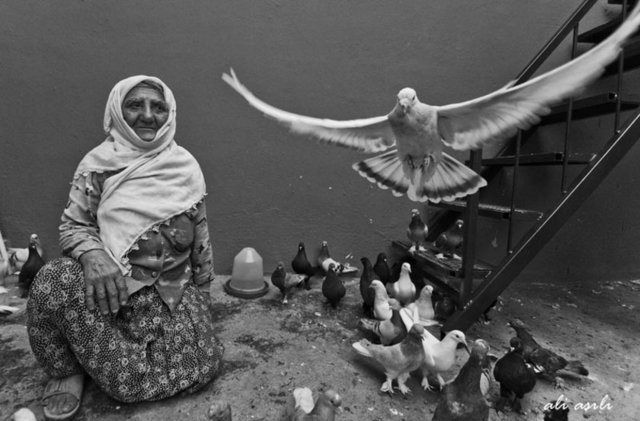 Kuşbaz: Süs kuşları yetiştiren kuş meraklısı. Kuş alıp satan kimse