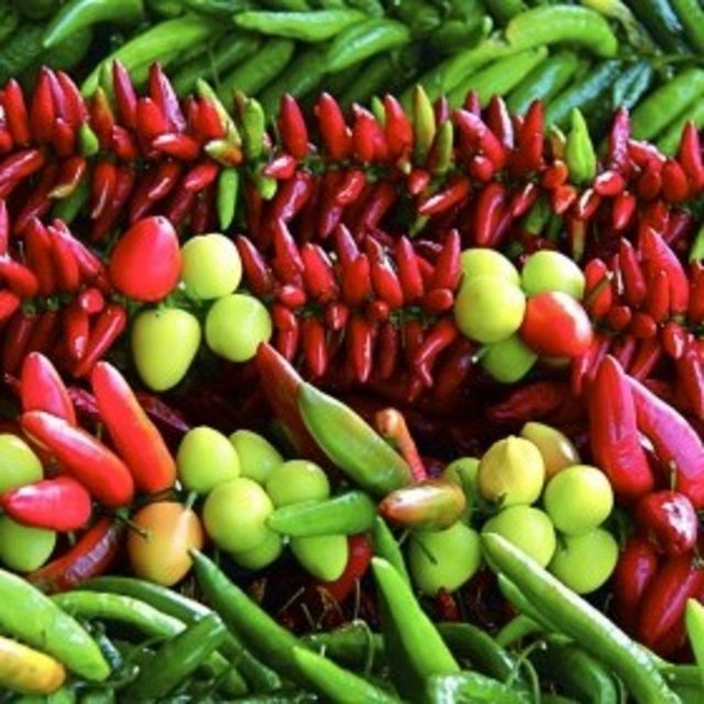 Zerzevat: Çürümeye bırakıldıklarında mantar oluşturan, genellikle yeşil renkli, pişirilerek ya da pişirilmeden yenen, bitkinin kök, gövde, yaprak, çiçek ve meyve gibi organlarına verilen genel ad.