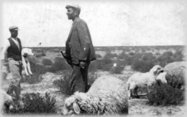 Celep:  Koyun, keçi, sığır gibi kesilecek hayvanların ticaretini yapan kimse.