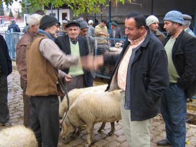 Hayvan canbazı: Hayvan alım satımıyla uğraşan kişi.