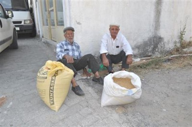 Zahire: Gereğinde kullanılmak için saklanan tahıl, aşlık satan kişi.