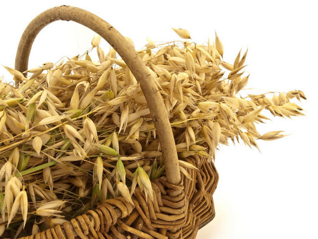 2. YULAF: İçerdiği liflerle uzun süre tok tutar, spor öncesi karbonhidrat ihtiyacınızı karşılar, sütün içerisine ekleyeceğiniz 4-5 yemek kaşığı yulaf ezmesi uzun süre kendinizi enerjik hissetmenizi sağlar.