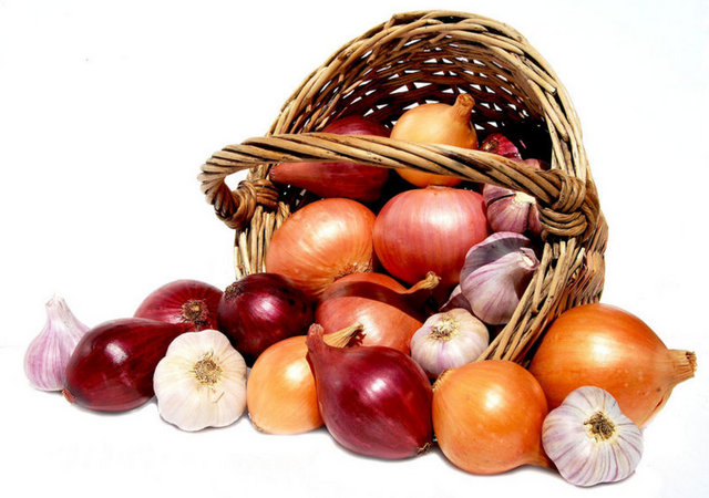 11. SOĞAN SARMISAK: Sarmısak ve soğanın kalp krizi, kireçlenme ve kanser riskini azalttığını biliyor. Sarmısak ve soğan kanser yapıcı maddeleri nötralize etmekte, kötü huylu tümörün oluşumunu başlangıç safhasında engellemektedir.