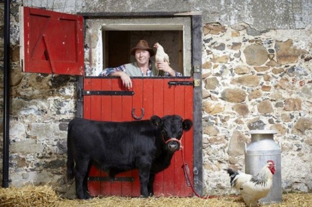 Dünyanın en kısa boylu boğası Archie. Kuzey İrlanda'da yaşayan Dexter cinsi bu boğa 76.2 cm boyunda.