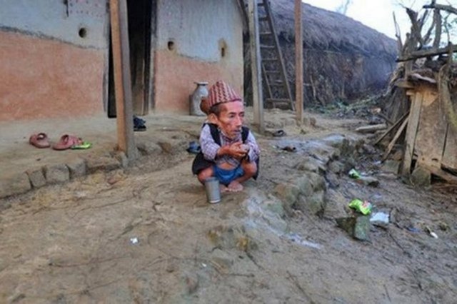 56 santimetrelik Nepalli dünyanın en kısa erkeği olarak Rekorlar Kitabı'na girmeye hazırlanıyor. 72 yaşındaki Nepalli'nin birkaç gün içinde başkent Katmandu'da Guinness yetkilileriyle bir araya geleceği belirtildi. Guinness Rekorlar Kitabında dünyanın en kısa erkeği olarak 60 santimetre boyuyla Filipinli Junrey Balaving geçiyor. Balaving, geçen Haziran'da 18 yaşını doldurur doldurmaz dünyanın en kısa erkeği olarak rekorlar kitabına girmişti.