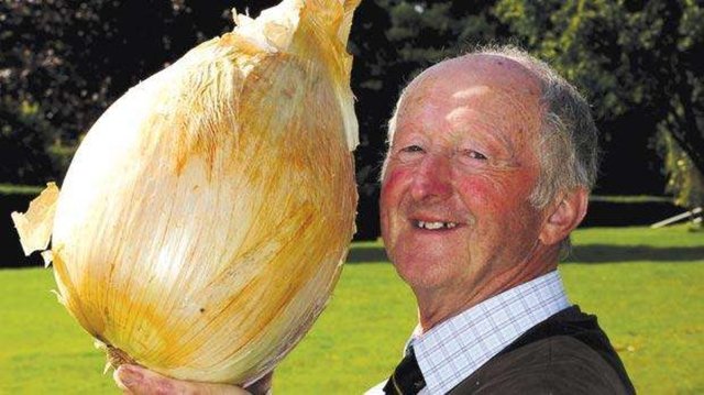 İngiliz Pete Glazebrook, dünyanın en ağır soğanını yetiştirerek dünya rekorlar kitabına girdi. Soğan tam 7.7 kg ağırlığında.