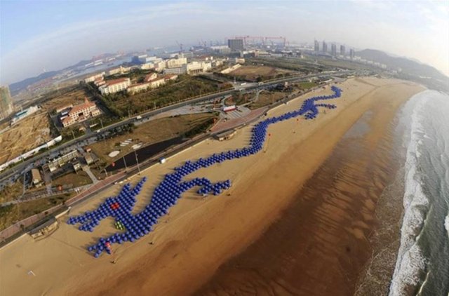 Çin'in Qingdao plajında 900 şemsiyesiyle oluşturulan ejderha figürü, "şemsiyelerle yapılan en büyük yapboz" rekorunu kırdı.