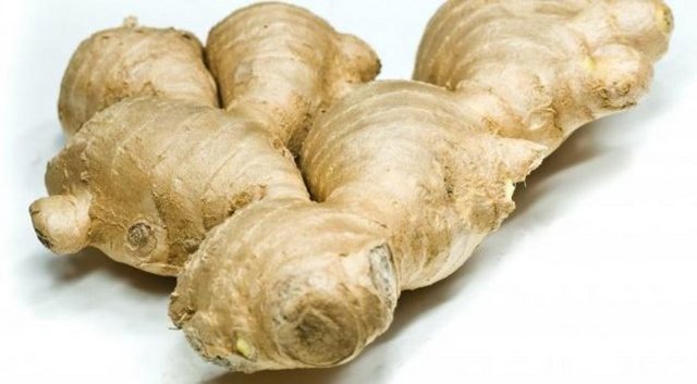 Ayrıca içerdiği B ve C vitaminleri bitkiyi oldukça önemli kılıyor.  Zencefil bitkisi kanser tedavisinide de kullanılıyor.