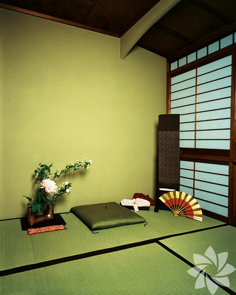 Risa 15 yaşında / Kyoto, Japonya