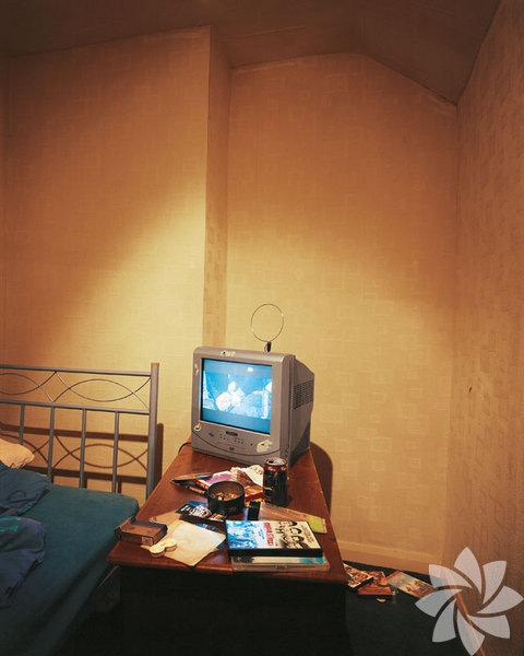 Lewis 10 yaşında Barnsley, İngiltere