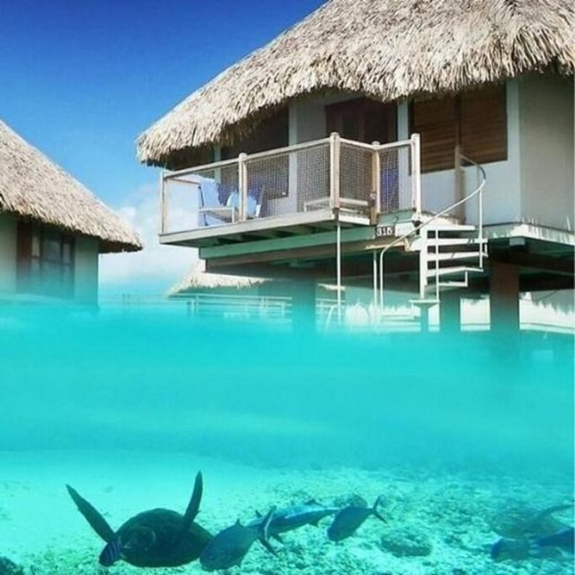 BURCU KARA - Şu an olmak istediğim yer