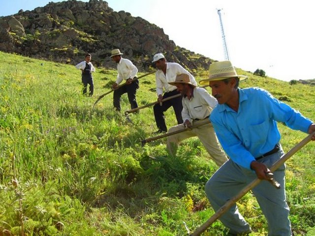 90. Çiftçi -  - Yıllık geliri: 65 bin 250 Dolar