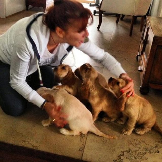 TAYLAN KÜMELİ - Canlarım -  -  -