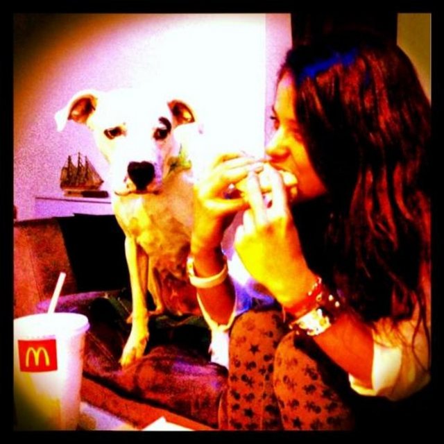 SELEN SEYVEN -  -  -  -