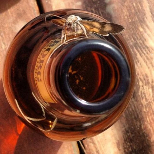 HANDE SORAL - Kelebeğin rüyası