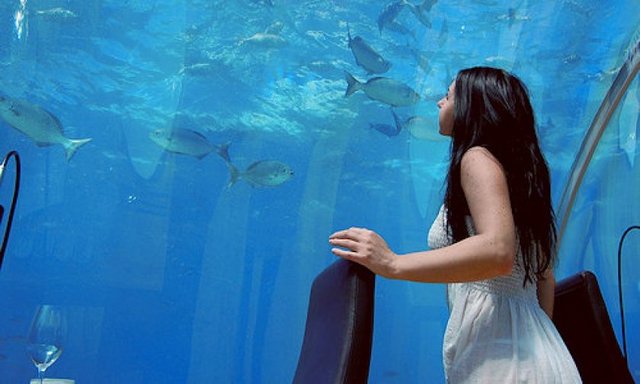 Yemek yerken bir anda yanınızda oldukça garip şekilli bir canlının sizi izlemesine ne derdiniz?