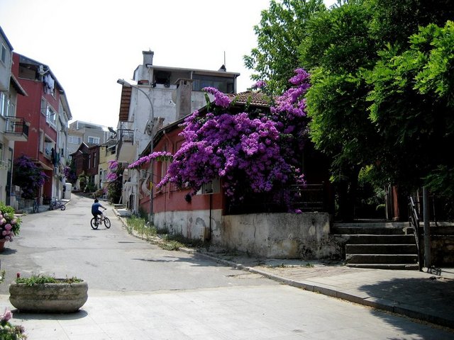 Heybeli yaz-kış nüfusunun en kalabalık, gidiş-gelişin en yoğun olduğu ikinci adadır.