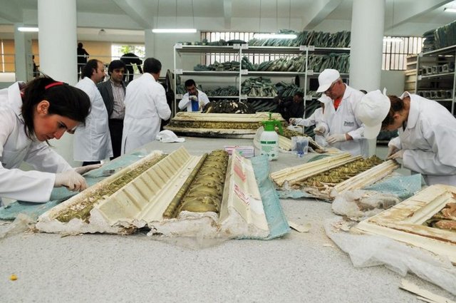 Kamer İnşaat, Emek Sineması'ndaki tescilli eser niteliği taşıyan barok usluptaki tavan ve duvar süslemelerini tek tek söküp laboratuvara taşıdı. Burada eserlerin restorasyon ve bakım işlemleri başladı.
