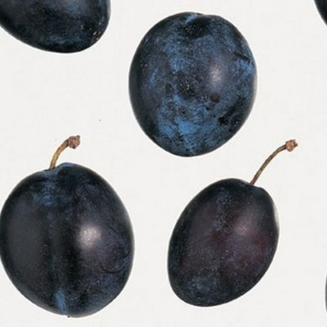Özellikle kurutulmuş mürdüm eriğinin zayıflama mucizesi sağladığı bilinir. Potasyum bakımından oldukça zengin bir yiyecek olan mürdüm eriği  içerisinde 22 adet vitamin ve mineral barındırmaktadır.