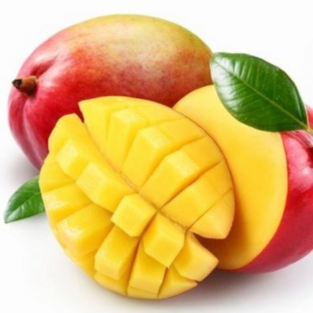 ABD de yapılan bir bilimsel araştırmada mango ekstresi verilen deneklerde 1 ayda 12 kilo zayıflama başarıldığı tespit edilmiştir. Mangoda bulunan karotenoid ve flavonoid türü antioksidanlar hem bağışıklık sistemini güçlendirmekte hem de yağ yakıcı metabolizma hızlandıran etkiler ve faydalar oluşturmaktadır. 1 porsiyon mango içerisinde 50 kalori bulunmaktadır.