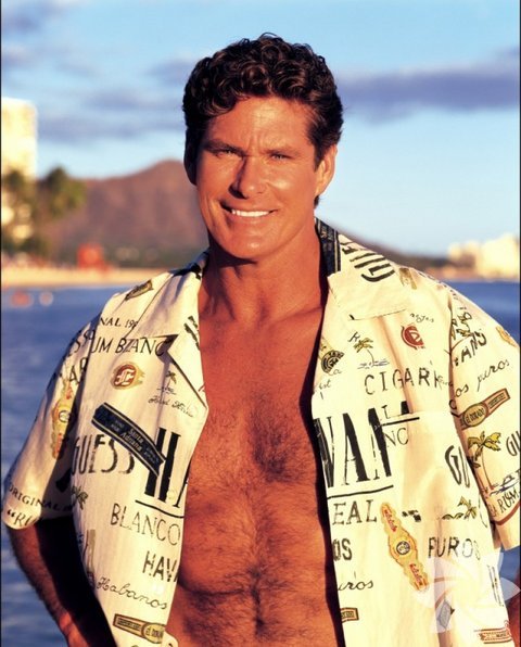 David Hasselhoff