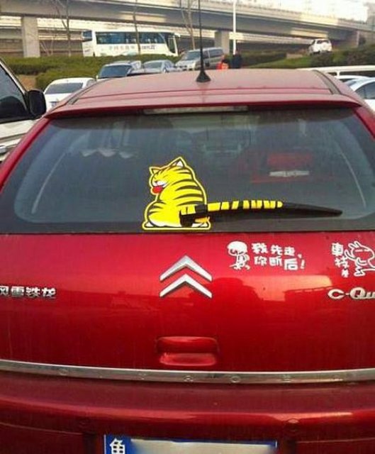 Kedi kuyruğu şeklinde silecek