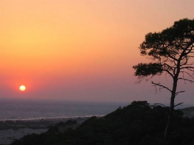- 4 - Patara Plajı - Patara, Türkiye -