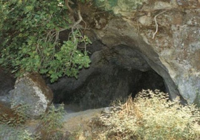 Ayı inlerinin girişleri herzaman kuzeye bakar.