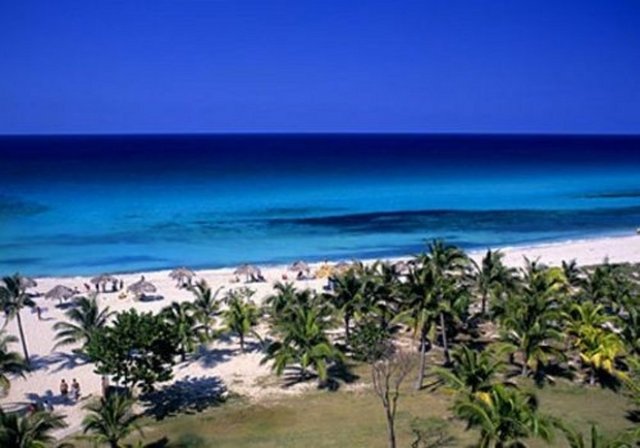 Dünyanın en büyük şeker ihracatçısı Küba´dır.